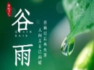 谷雨